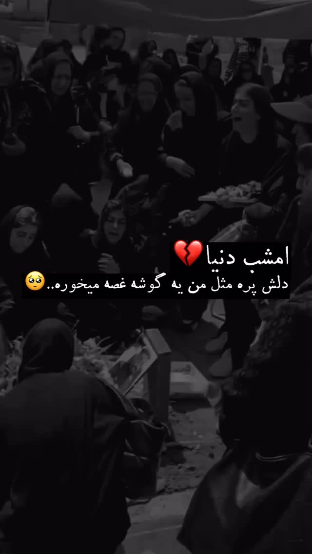  جدید ترین استوری اینستاگرام شاهین بنان