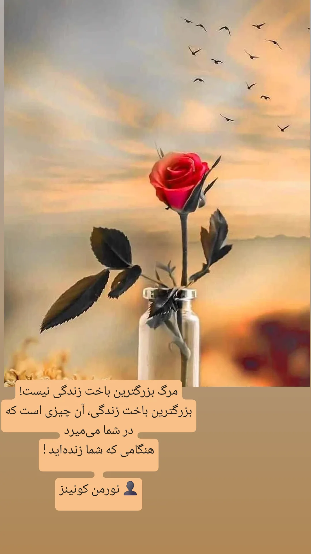 جدید ترین استوری اینستاگرام شاهین تسلیمی