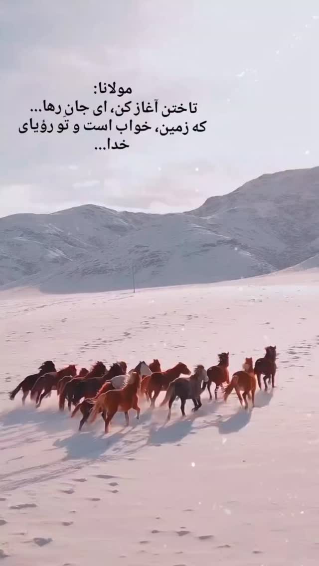  جدید ترین استوری اینستاگرام شاهین تسلیمی