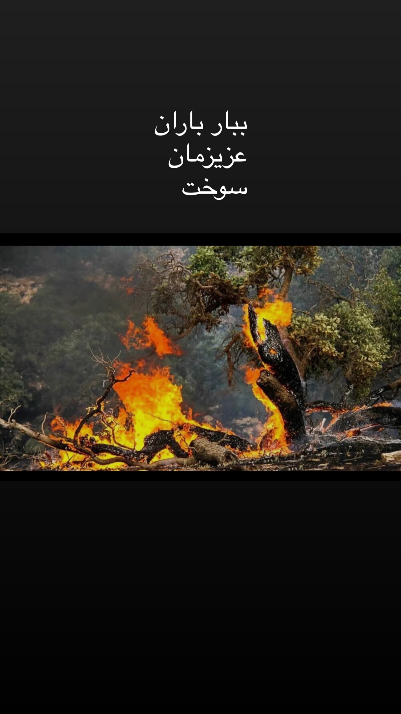  جدید ترین استوری اینستاگرام شهرام قائدي