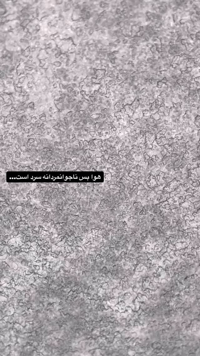  جدید ترین استوری اینستاگرام شهرام گيل آبادي