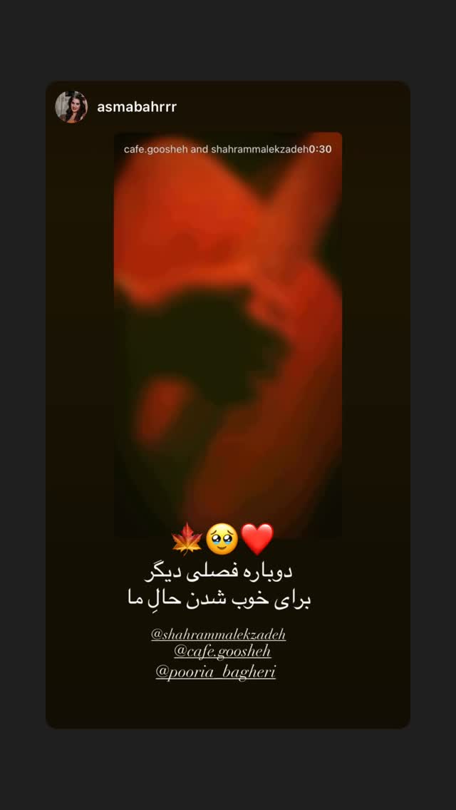  جدید ترین استوری اینستاگرام شهرام ملک زاده