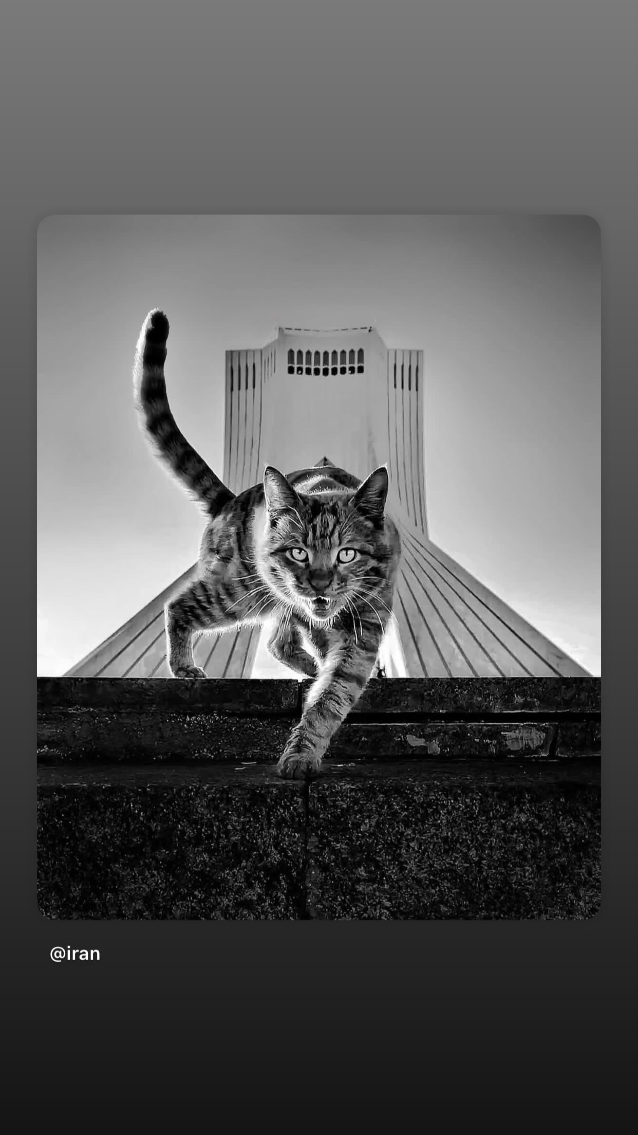  جدید ترین استوری اینستاگرام شهریار مغانلو