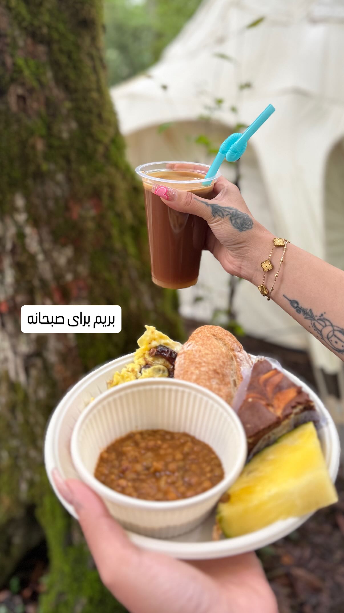  جدید ترین استوری اینستاگرام شهرزاد سرخی
