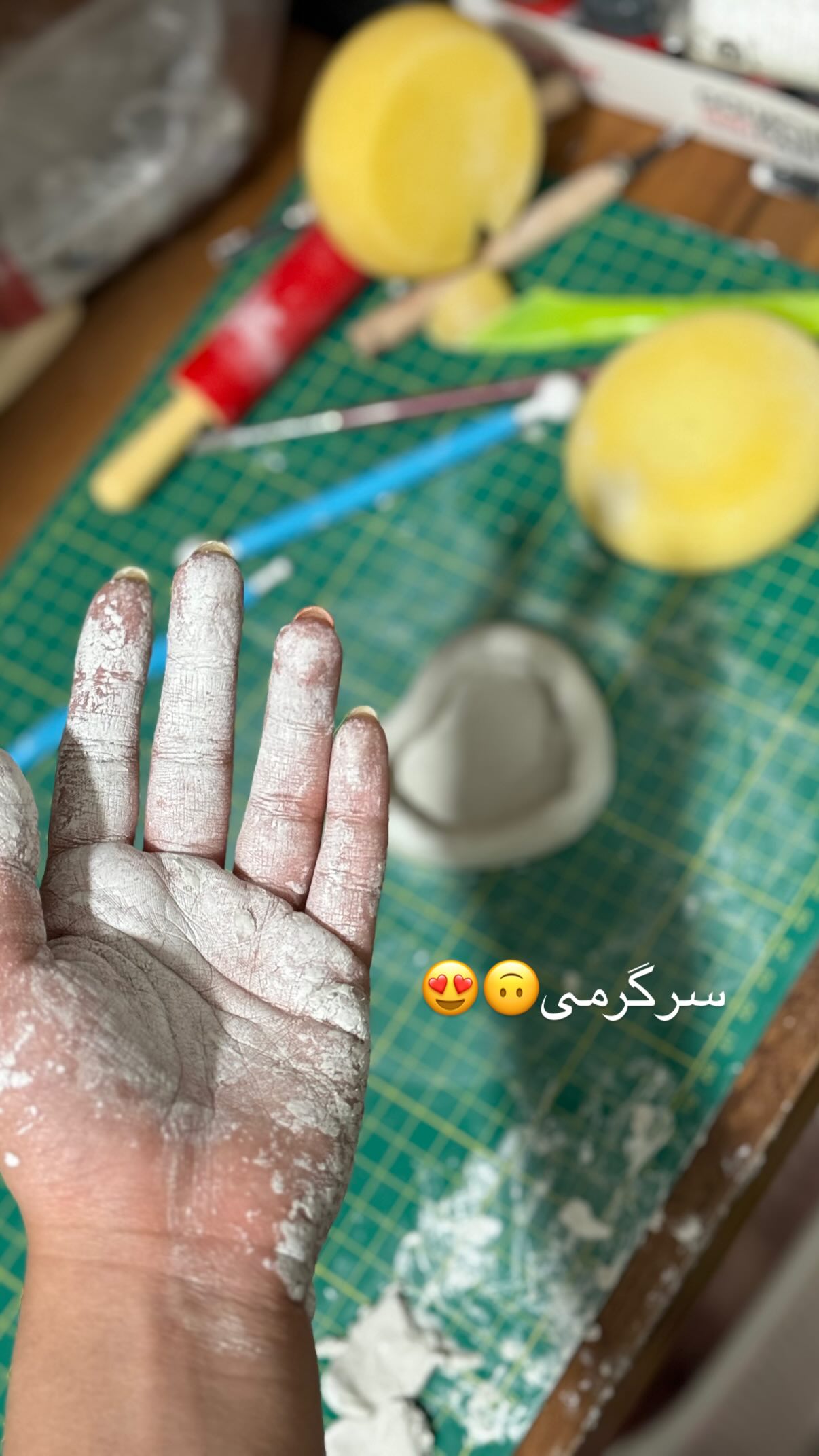  جدید ترین استوری اینستاگرام شهرزاد سرخی