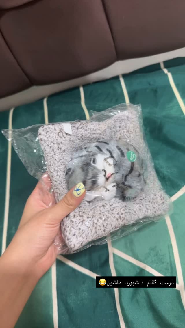  جدید ترین استوری اینستاگرام شهرزاد سرخی