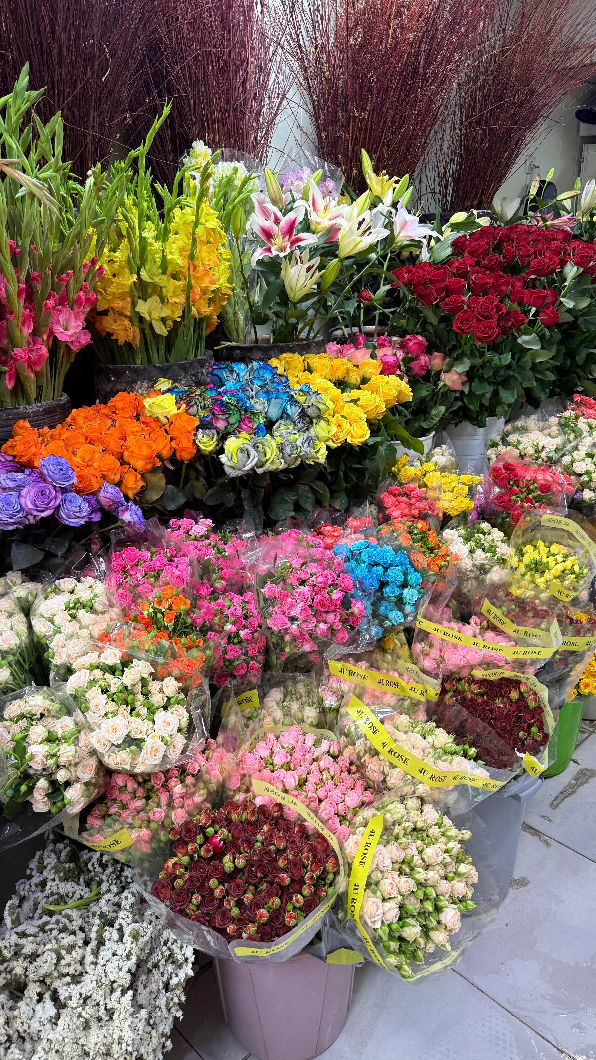  جدید ترین استوری اینستاگرام شهرزاد سرخی
