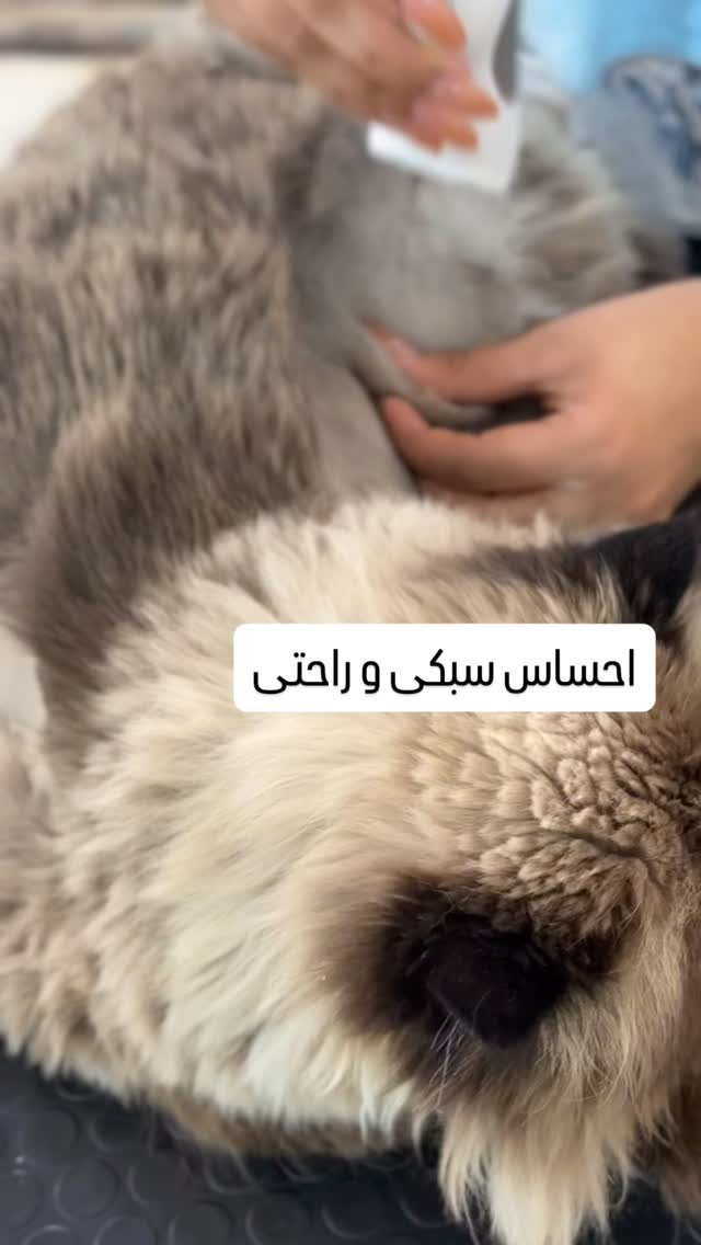  جدید ترین استوری اینستاگرام شهرزاد سرخی