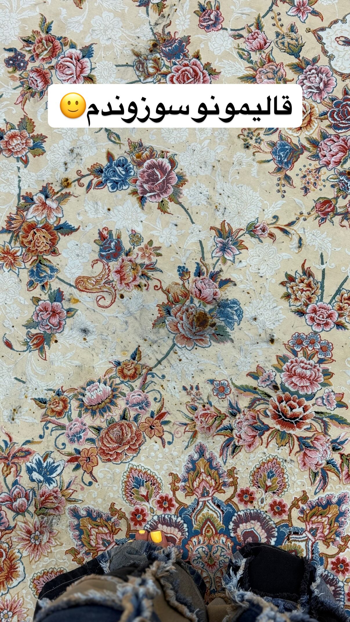  جدید ترین استوری اینستاگرام شهرزاد سرخی