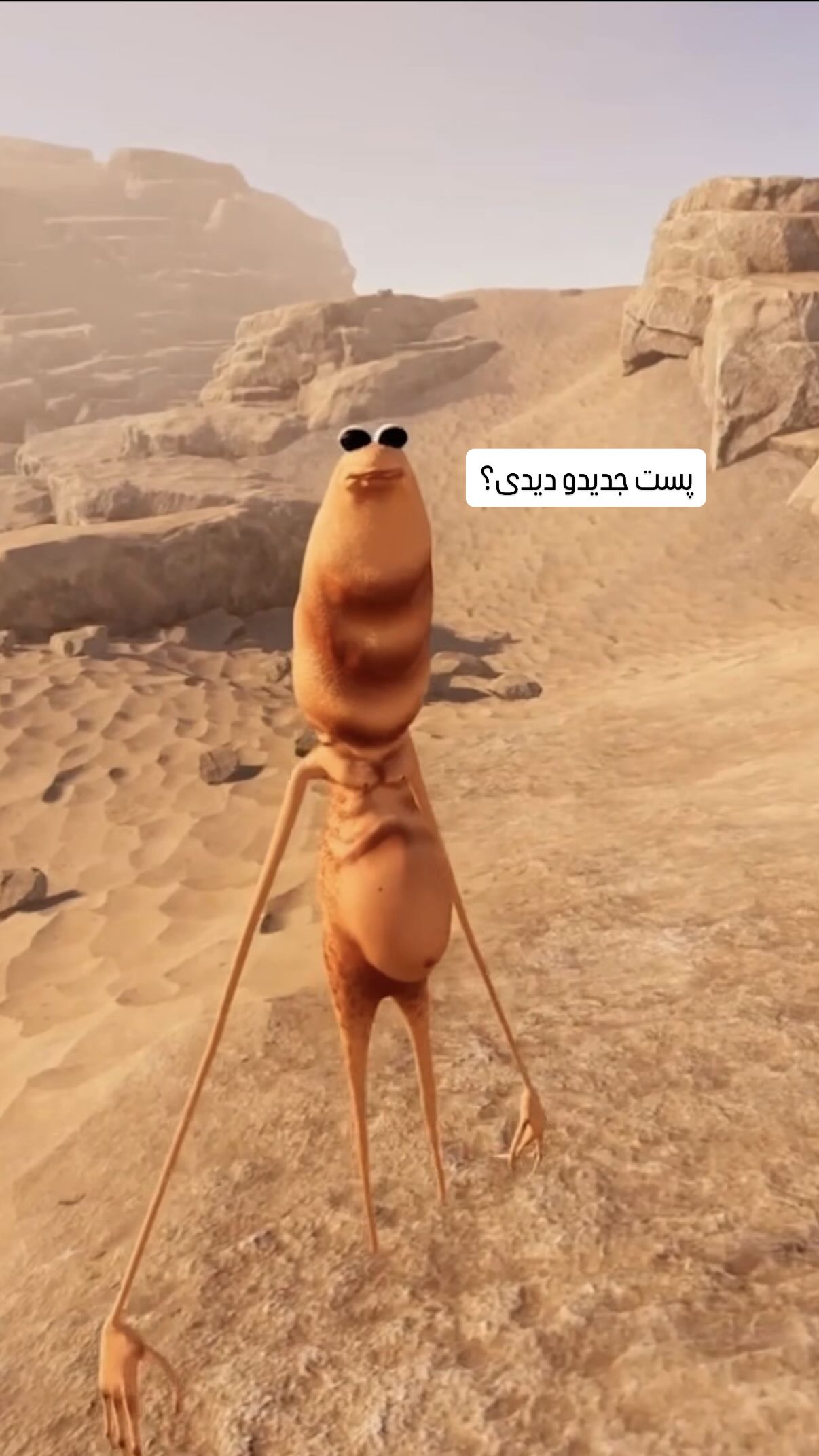  جدید ترین استوری اینستاگرام شهرزاد سرخی