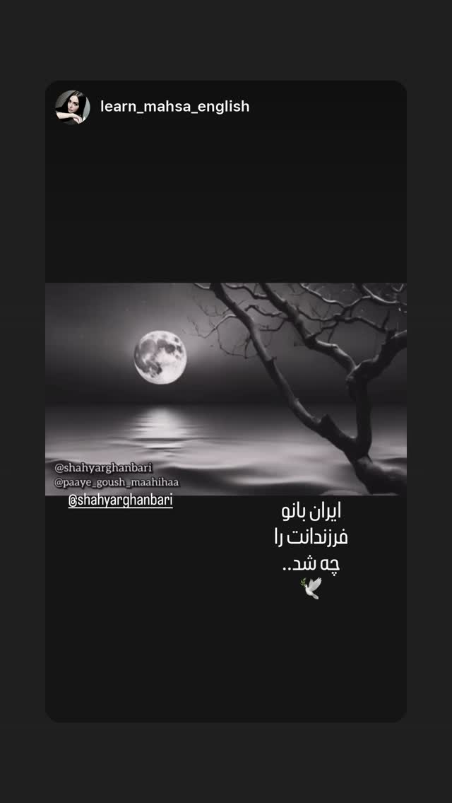  جدید ترین استوری اینستاگرام شهریار قنبری