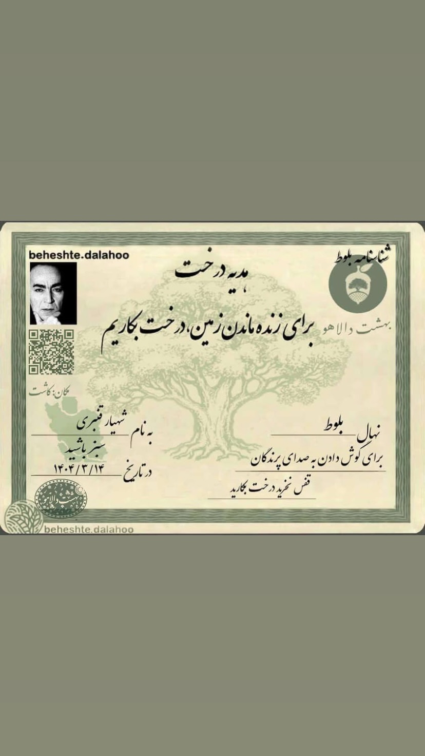  جدید ترین استوری اینستاگرام شهریار قنبری