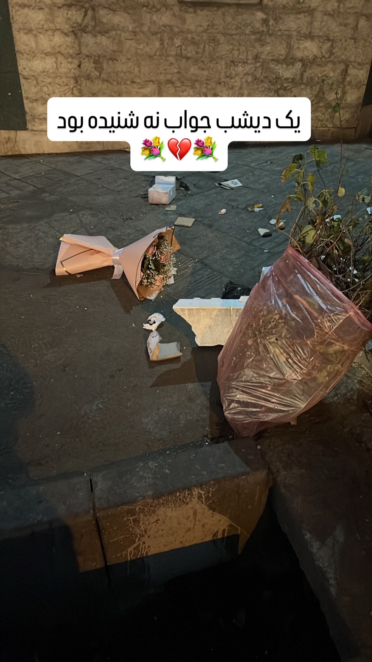  جدید ترین استوری اینستاگرام شاکر بوری