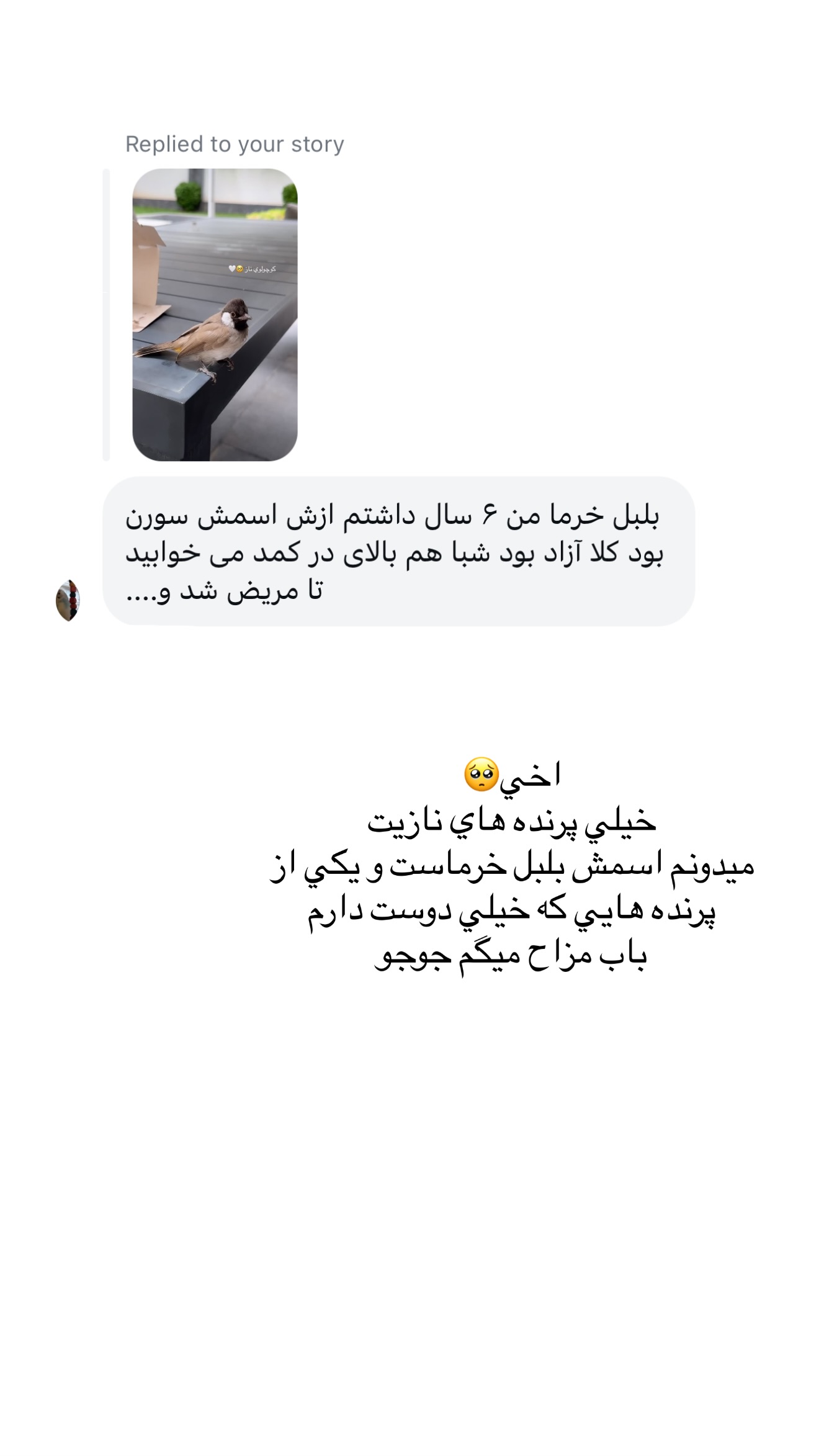  جدید ترین استوری اینستاگرام شکیبا لطفی