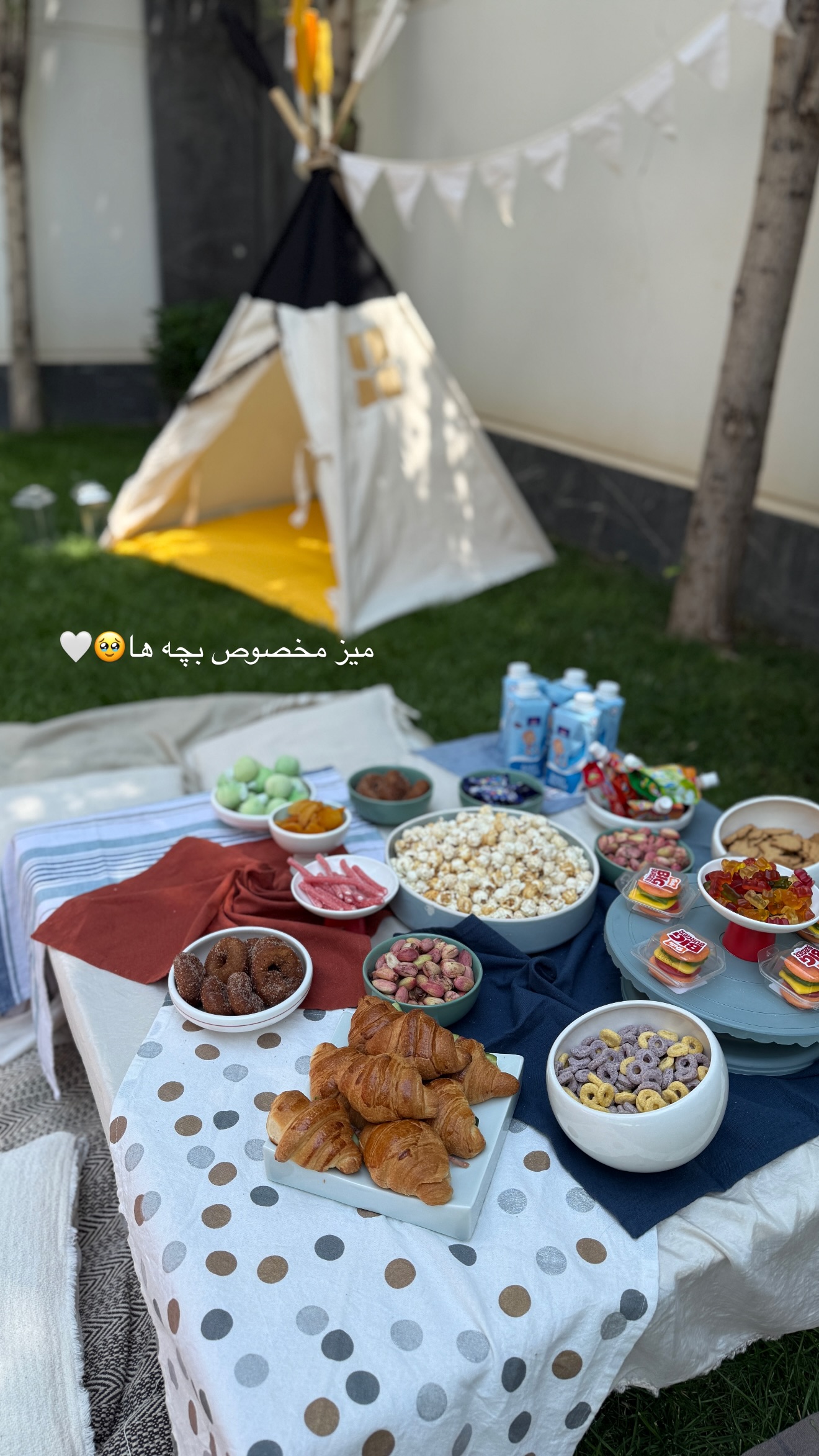  جدید ترین استوری اینستاگرام شکیبا لطفی