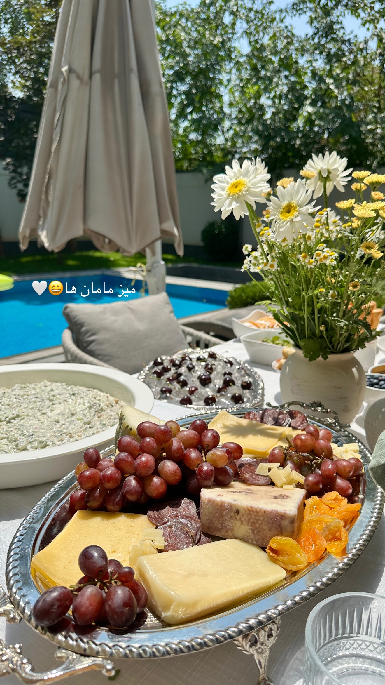  جدید ترین استوری اینستاگرام شکیبا لطفی