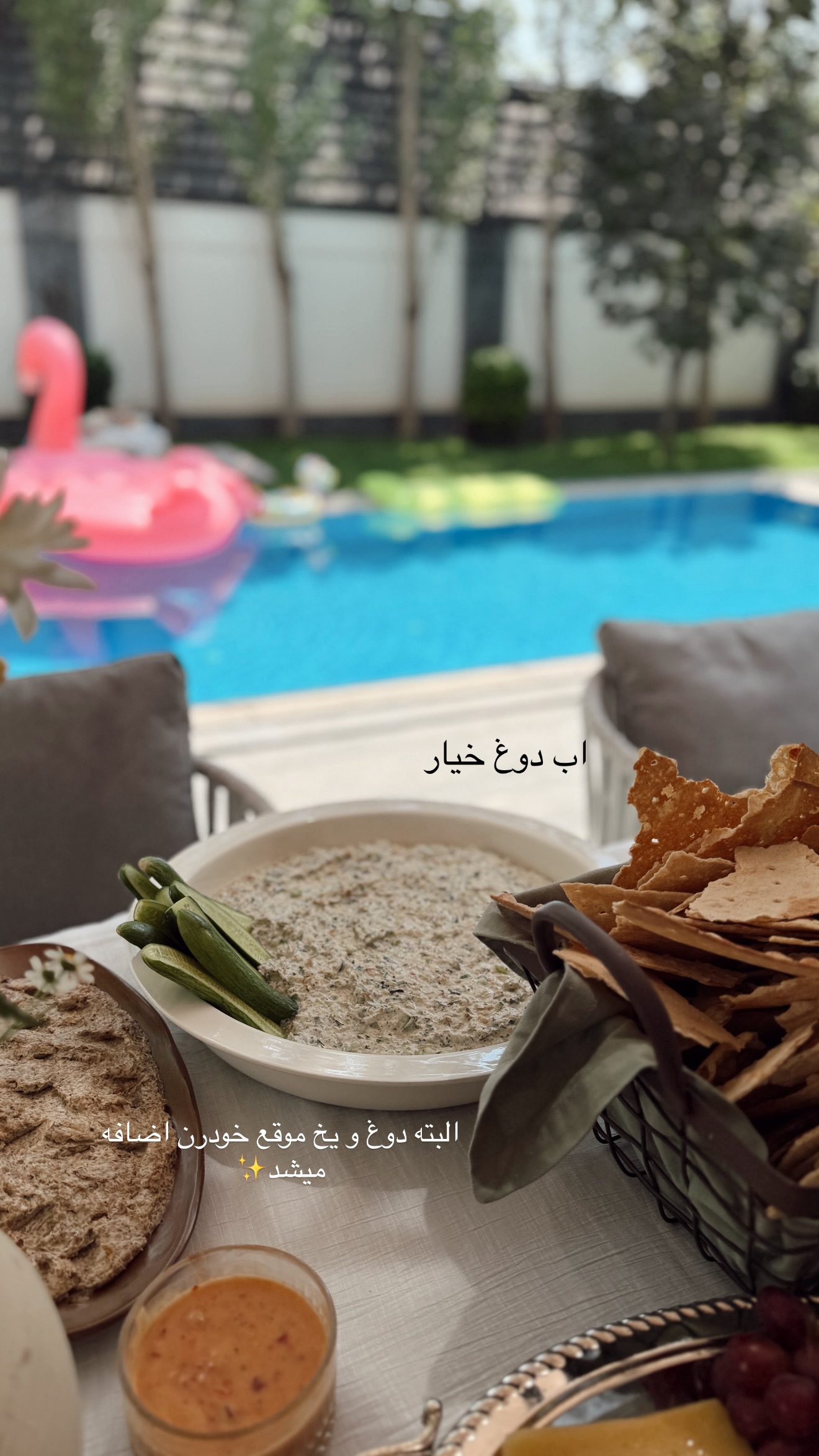  جدید ترین استوری اینستاگرام شکیبا لطفی