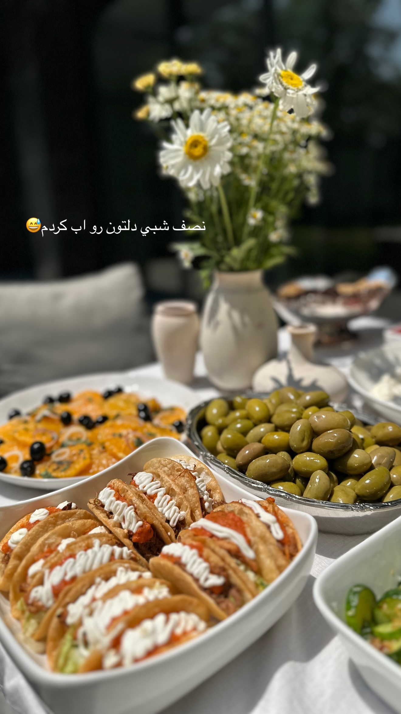  جدید ترین استوری اینستاگرام شکیبا لطفی