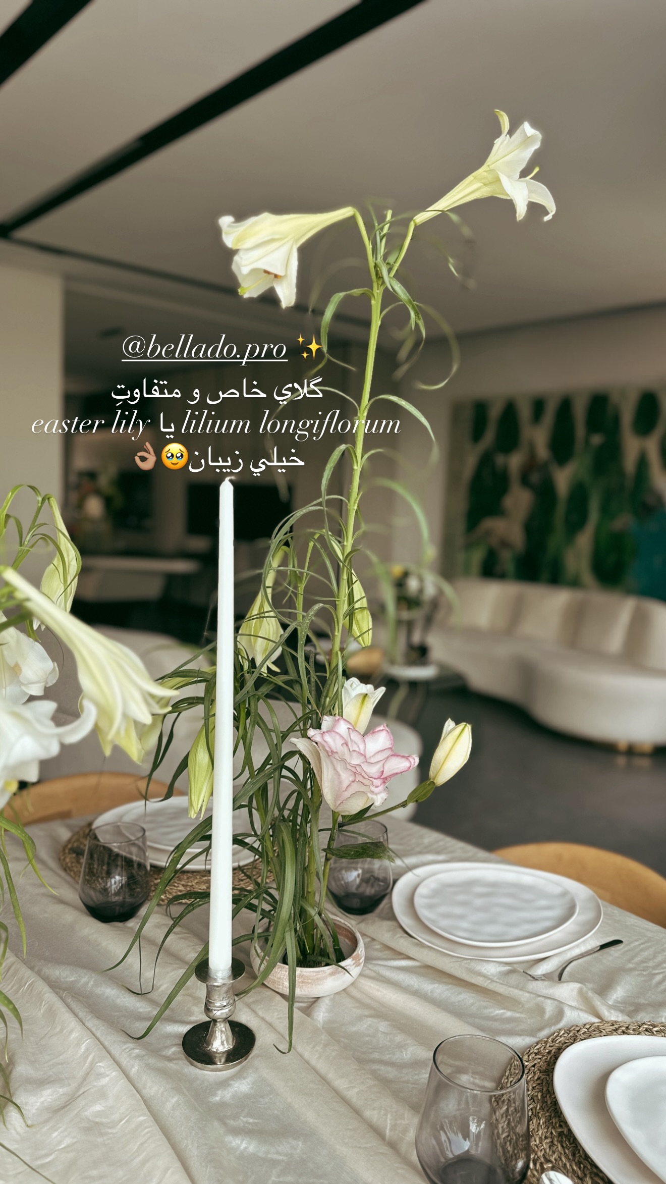  جدید ترین استوری اینستاگرام شکیبا لطفی