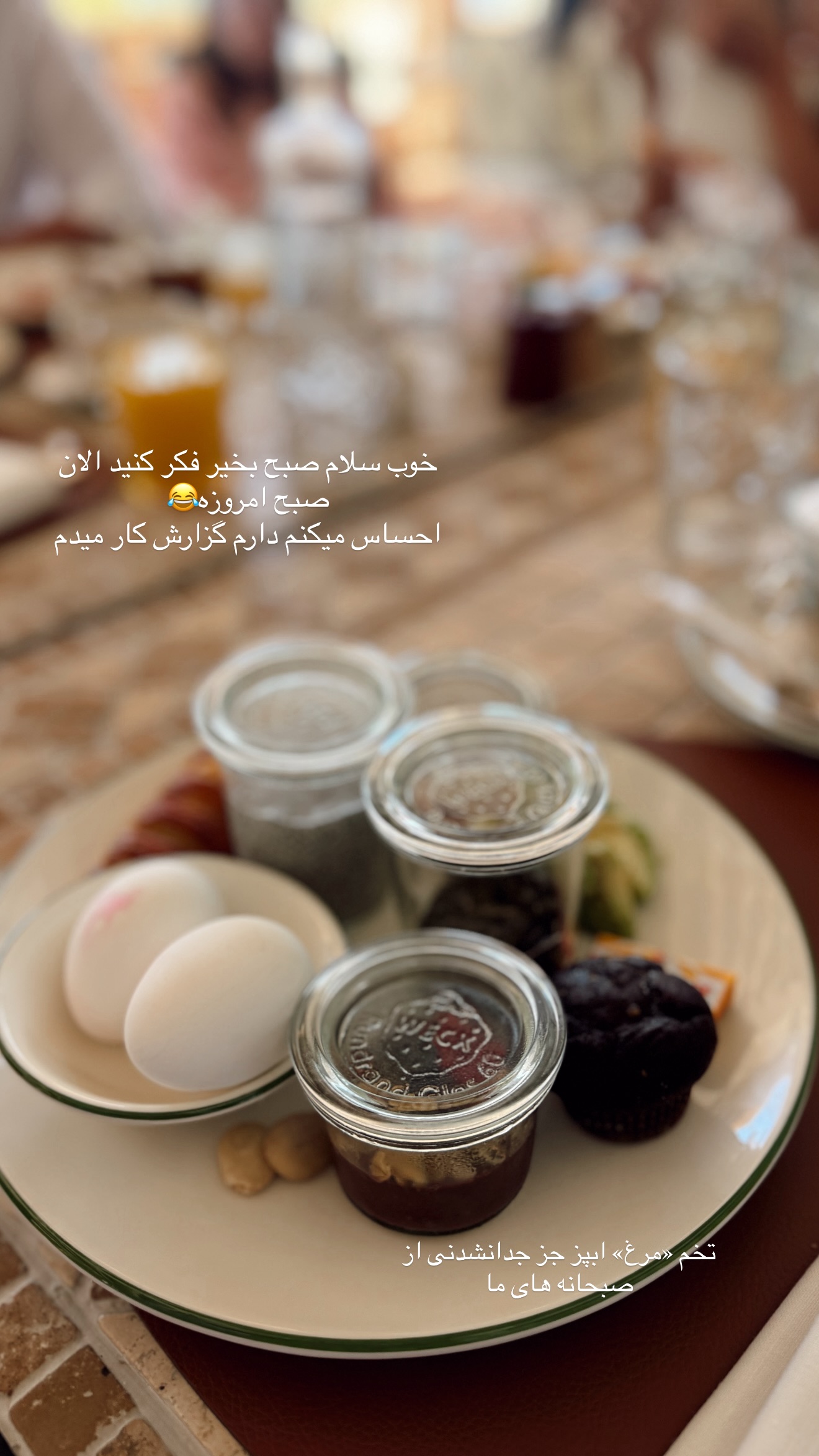  جدید ترین استوری اینستاگرام شکیبا لطفی