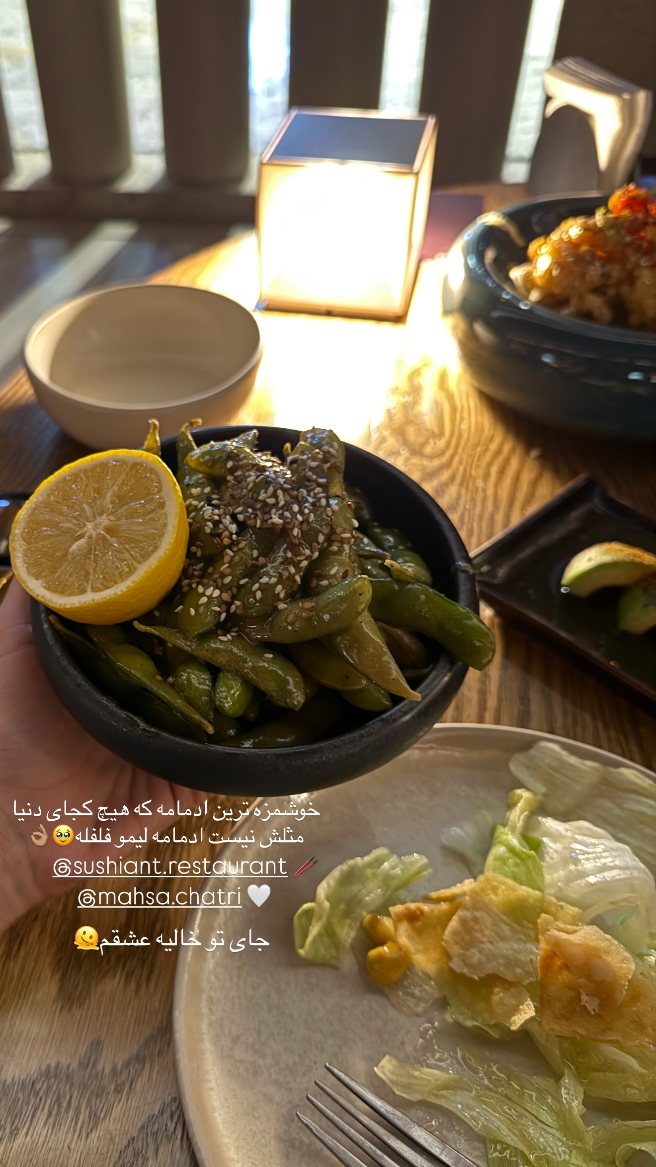  جدید ترین استوری اینستاگرام شکیبا لطفی