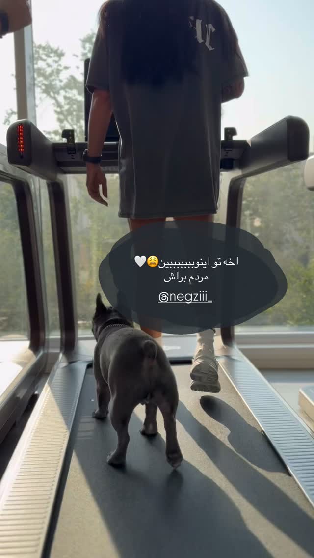  جدید ترین استوری اینستاگرام شکیبا لطفی