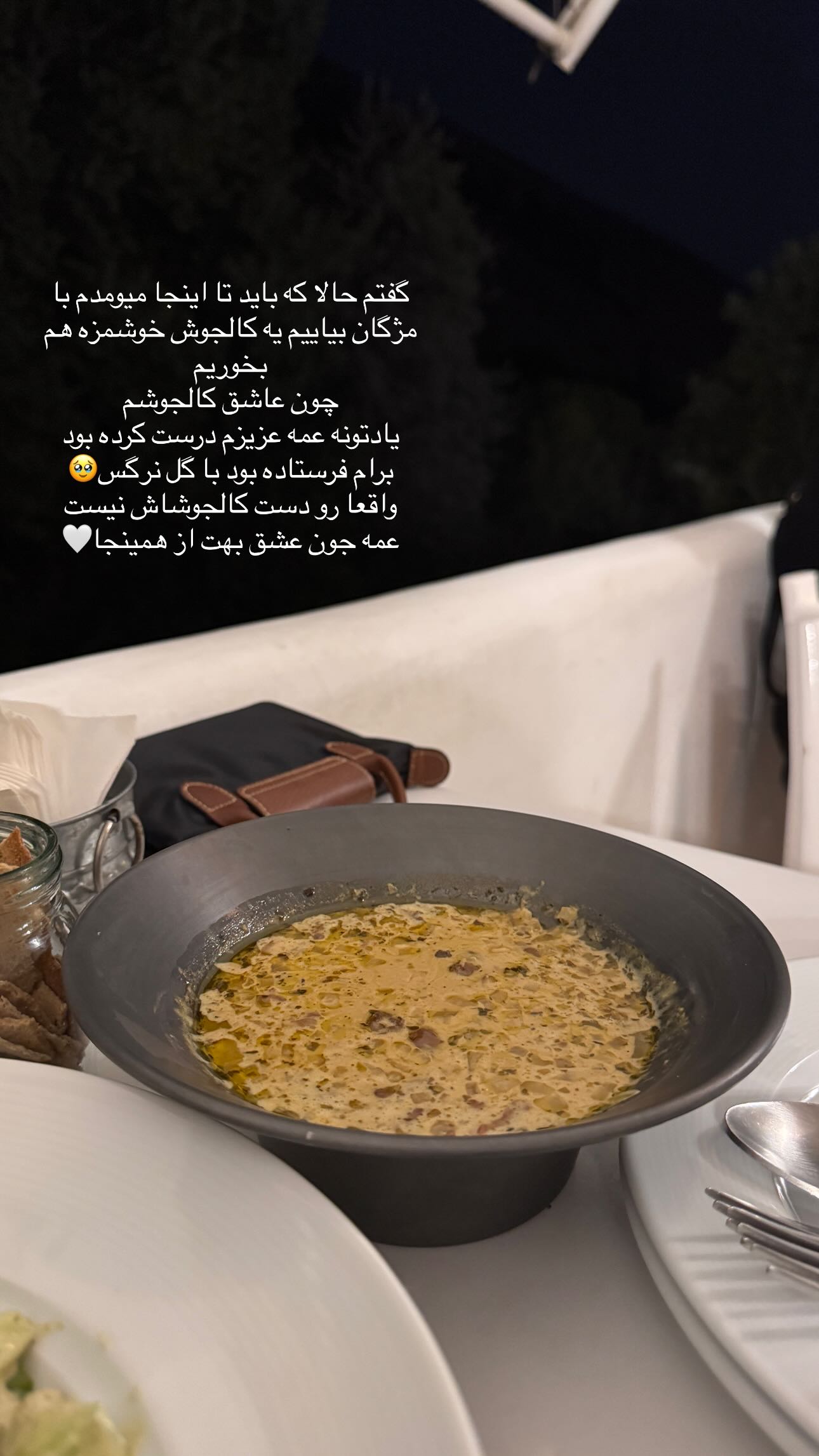  جدید ترین استوری اینستاگرام شکیبا لطفی
