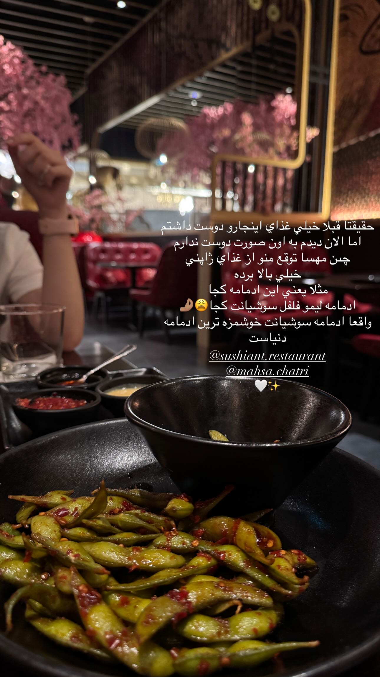  جدید ترین استوری اینستاگرام شکیبا لطفی