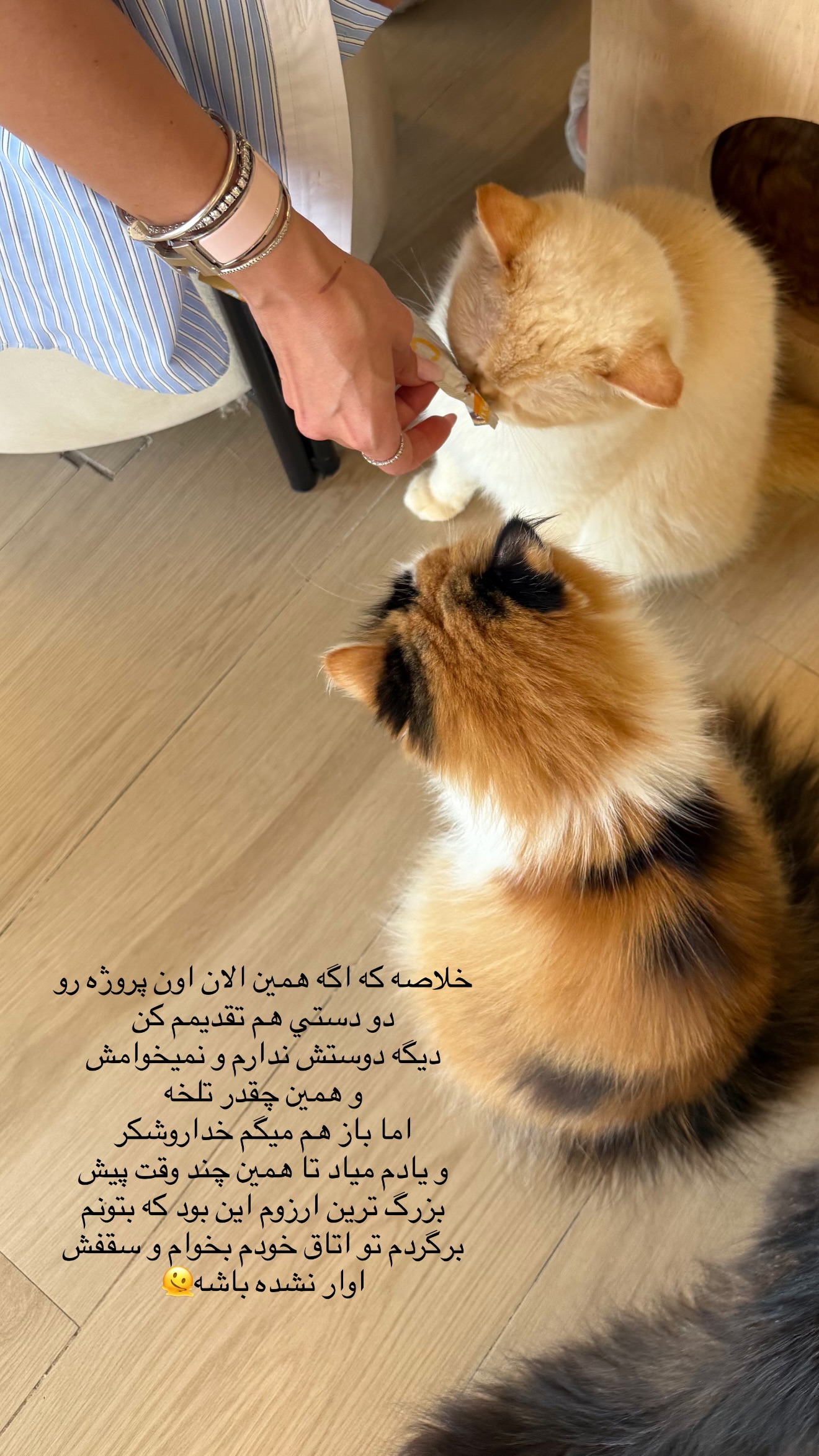  جدید ترین استوری اینستاگرام شکیبا لطفی