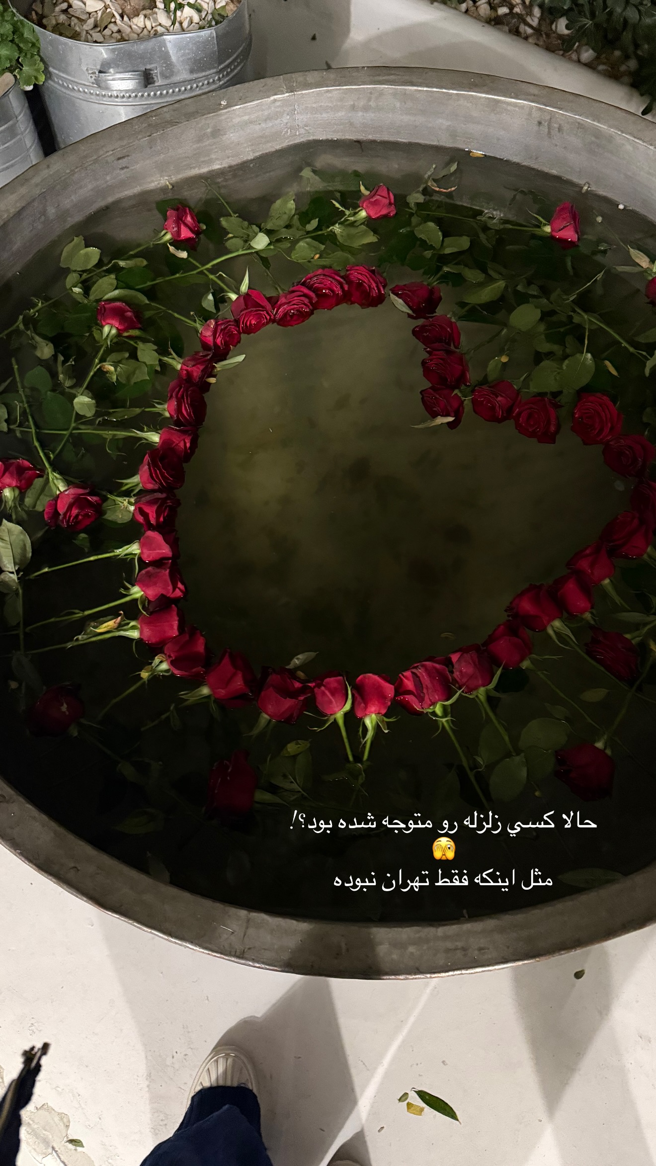  جدید ترین استوری اینستاگرام شکیبا لطفی