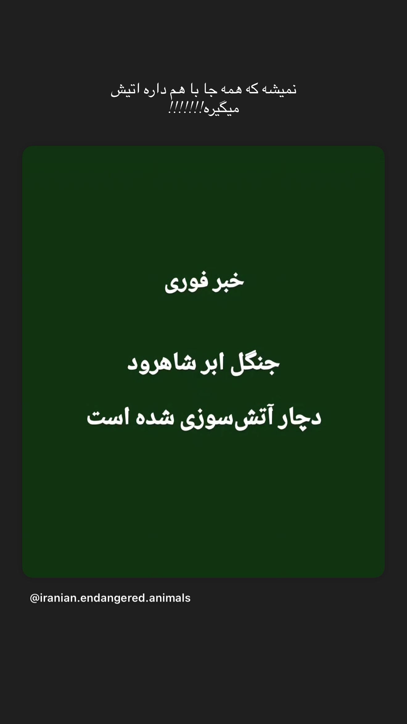  جدید ترین استوری اینستاگرام شکیبا لطفی