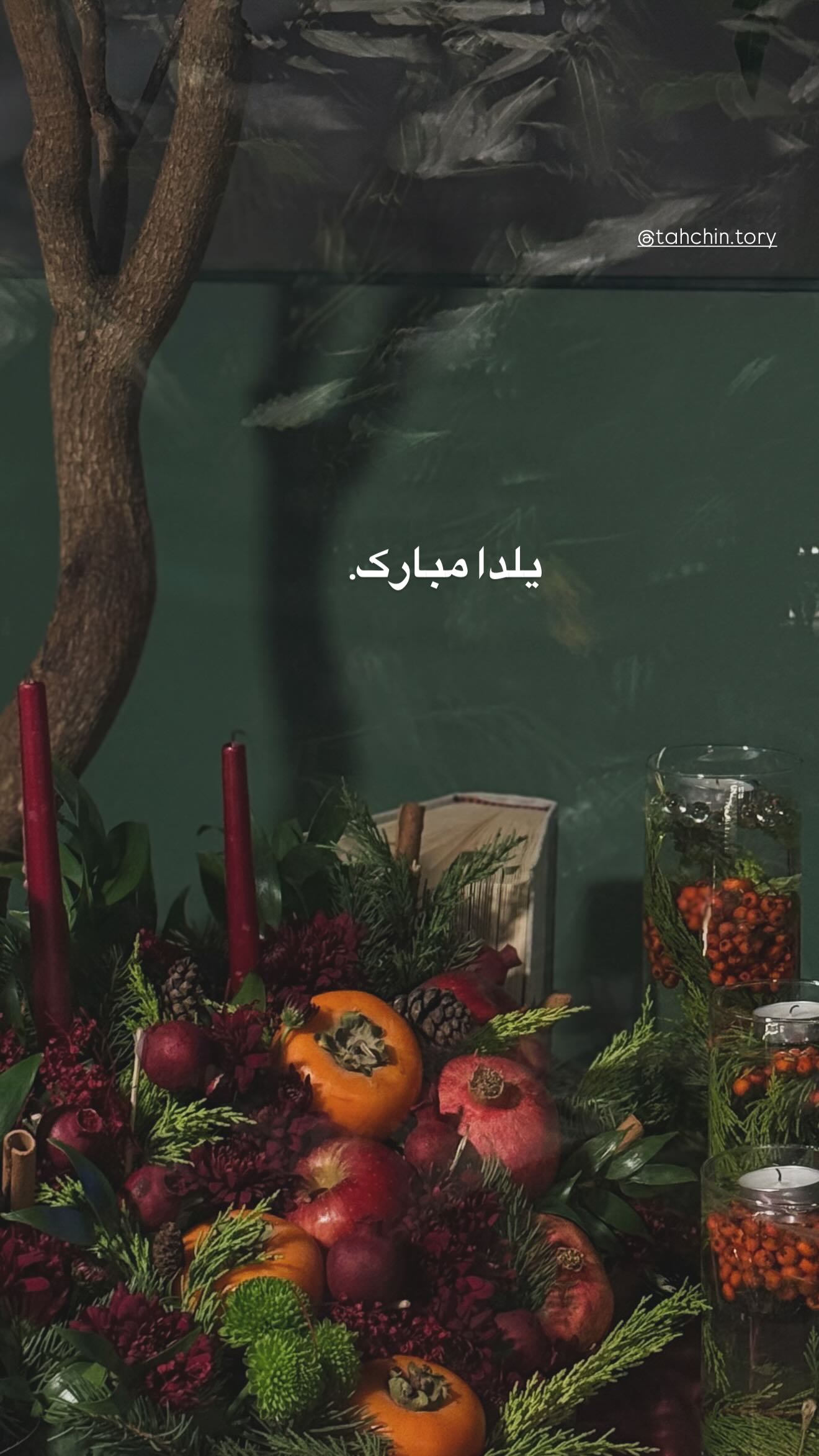  جدید ترین استوری اینستاگرام شکیبا میرسعیدی