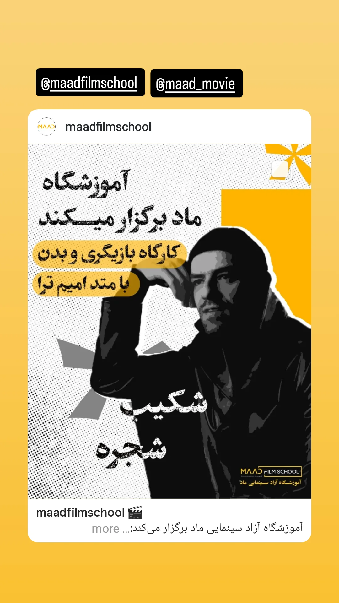  جدید ترین استوری اینستاگرام شکیب شجره