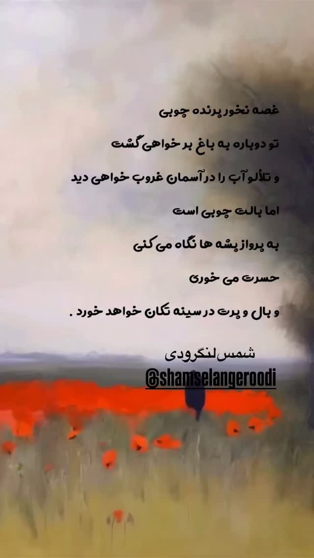  جدید ترین استوری اینستاگرام شمس لنگرودی