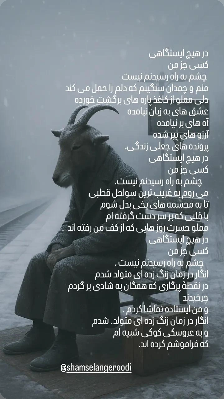  جدید ترین استوری اینستاگرام شمس لنگرودی