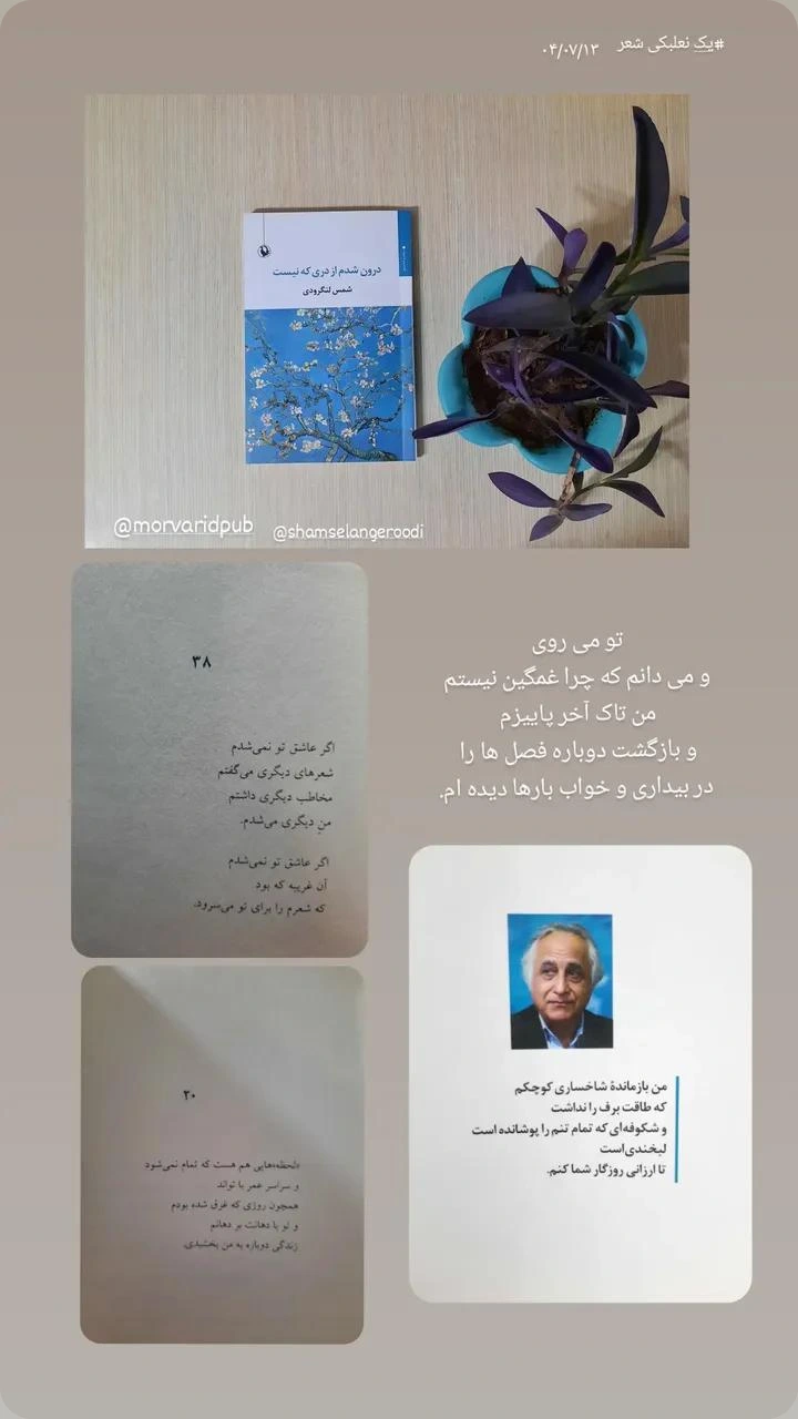  جدید ترین استوری اینستاگرام شمس لنگرودی