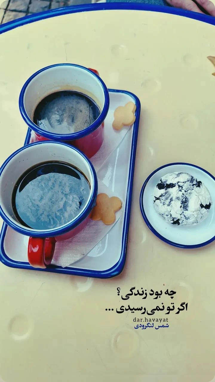  جدید ترین استوری اینستاگرام شمس لنگرودی