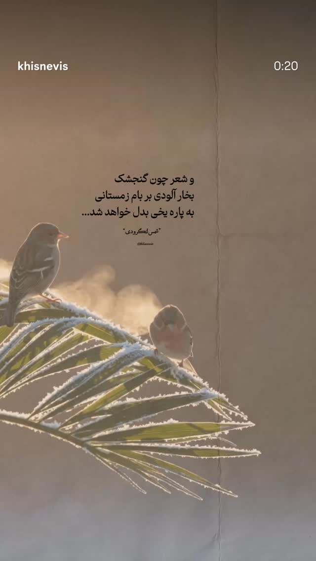  جدید ترین استوری اینستاگرام شمس لنگرودی