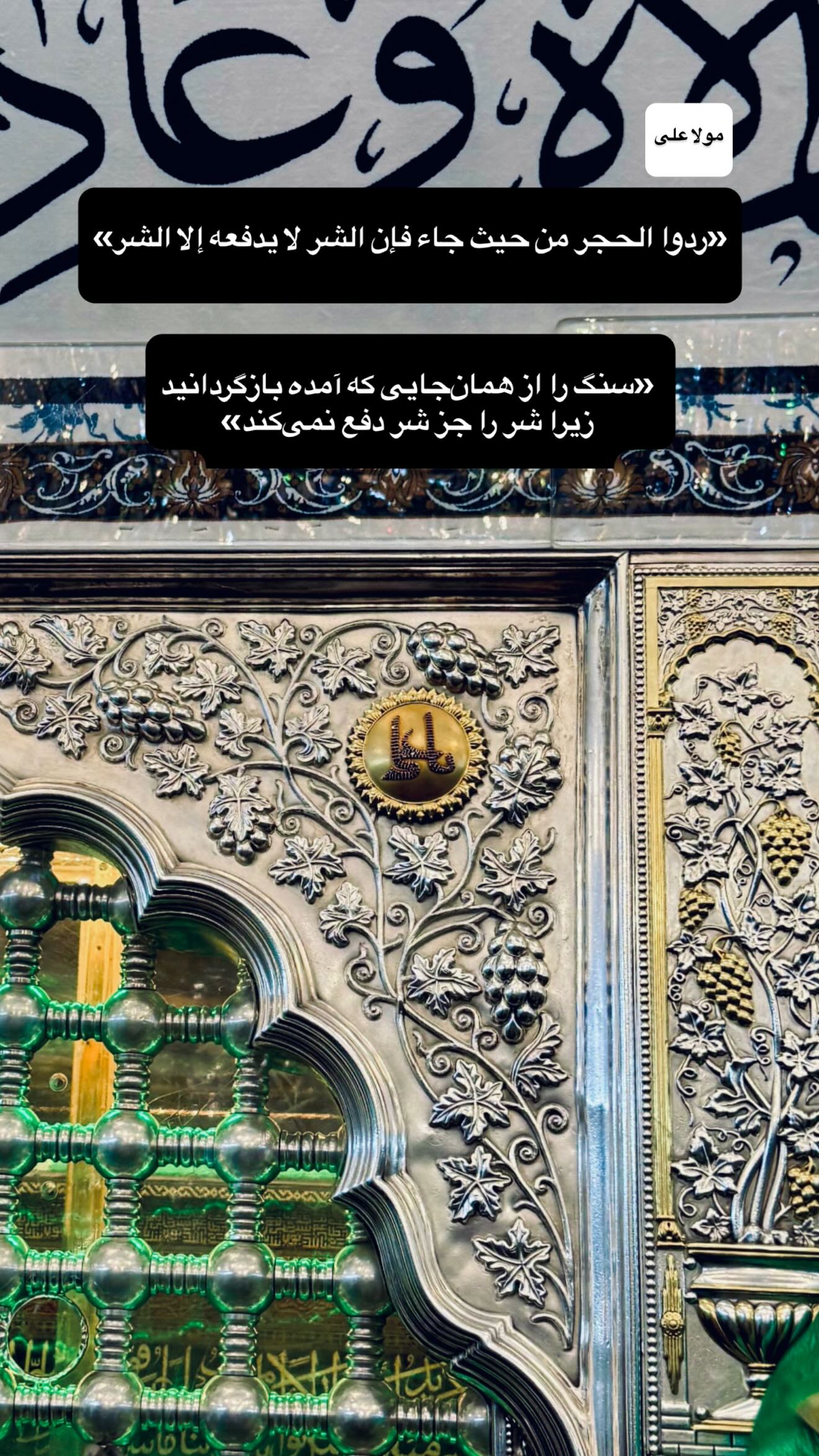  جدید ترین استوری اینستاگرام شقایق محمودی