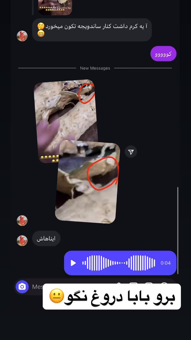  جدید ترین استوری اینستاگرام شقایق محمودی