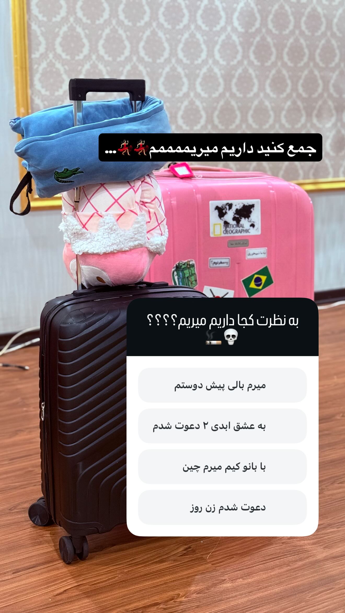  جدید ترین استوری اینستاگرام شقایق محمودی
