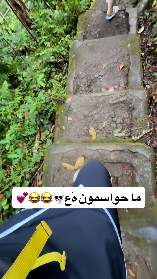  جدید ترین استوری اینستاگرام شقایق محمودی