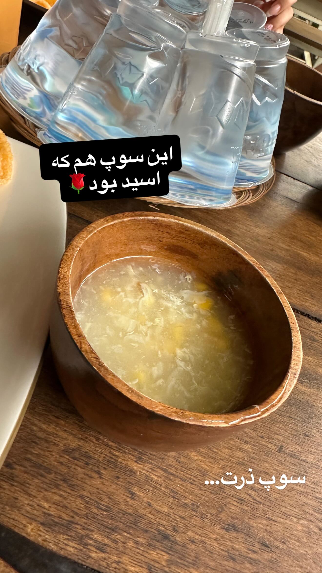  جدید ترین استوری اینستاگرام شقایق محمودی