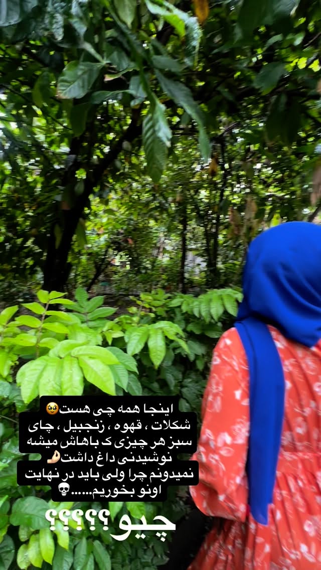  جدید ترین استوری اینستاگرام شقایق محمودی