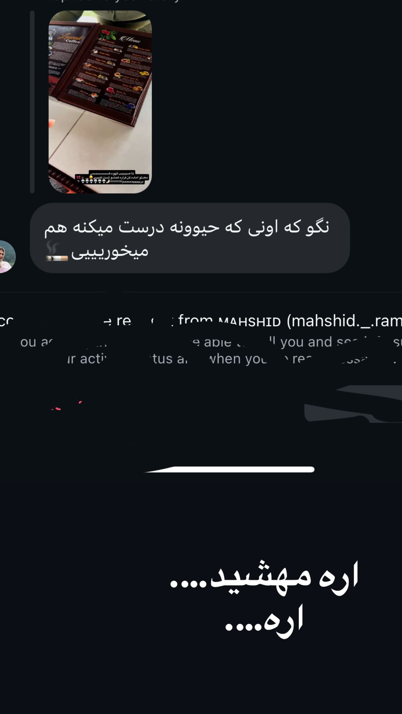  جدید ترین استوری اینستاگرام شقایق محمودی