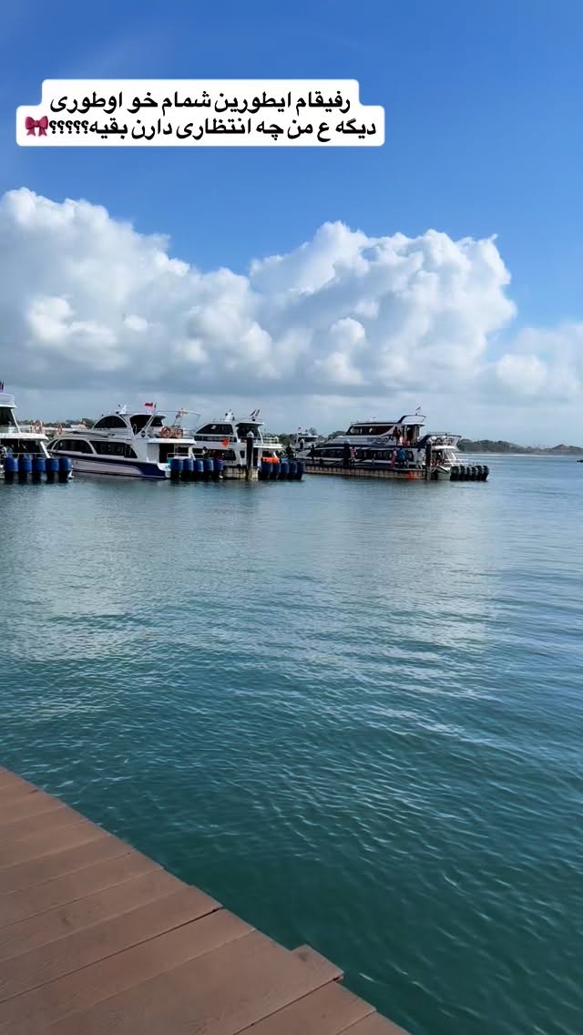  جدید ترین استوری اینستاگرام شقایق محمودی