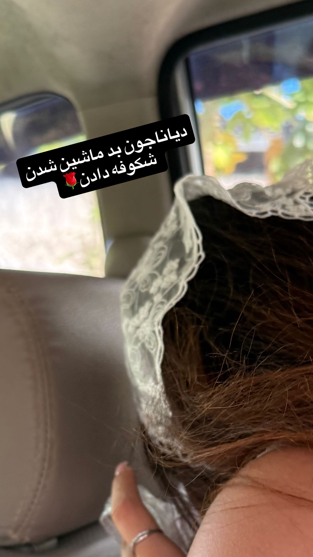  جدید ترین استوری اینستاگرام شقایق محمودی