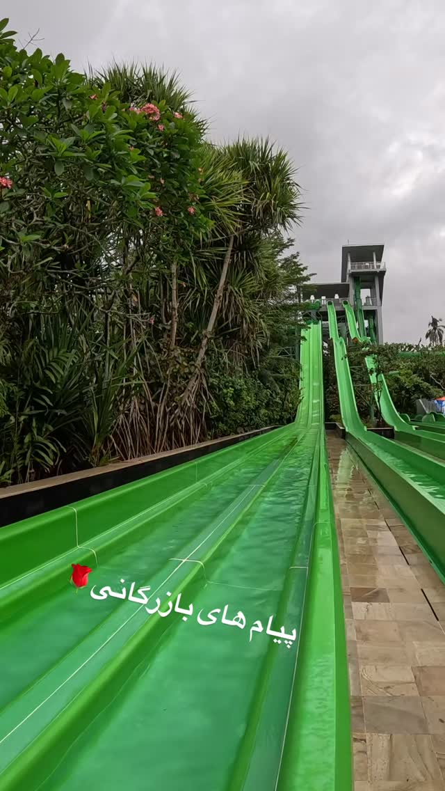  جدید ترین استوری اینستاگرام شقایق محمودی