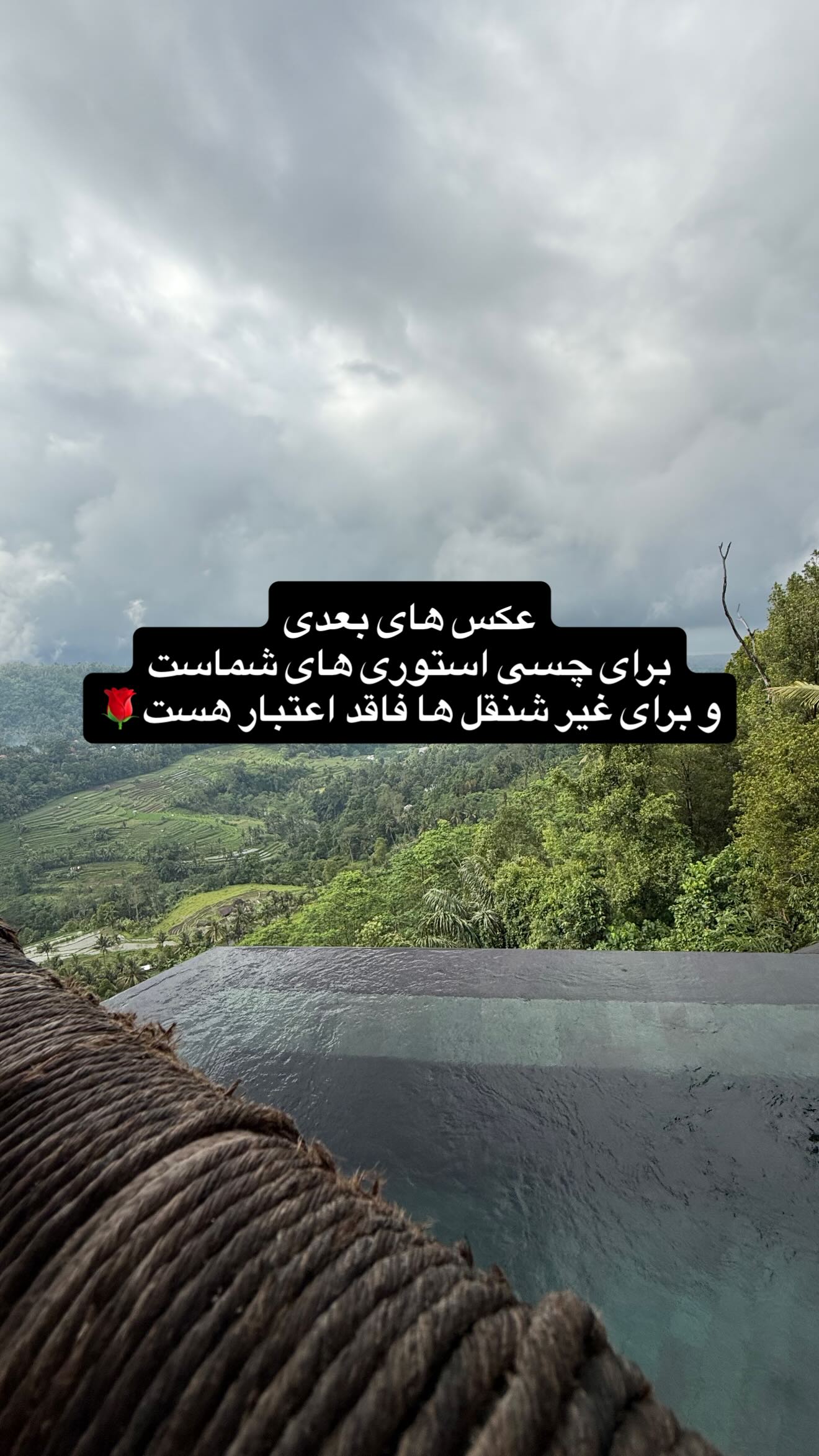  جدید ترین استوری اینستاگرام شقایق محمودی