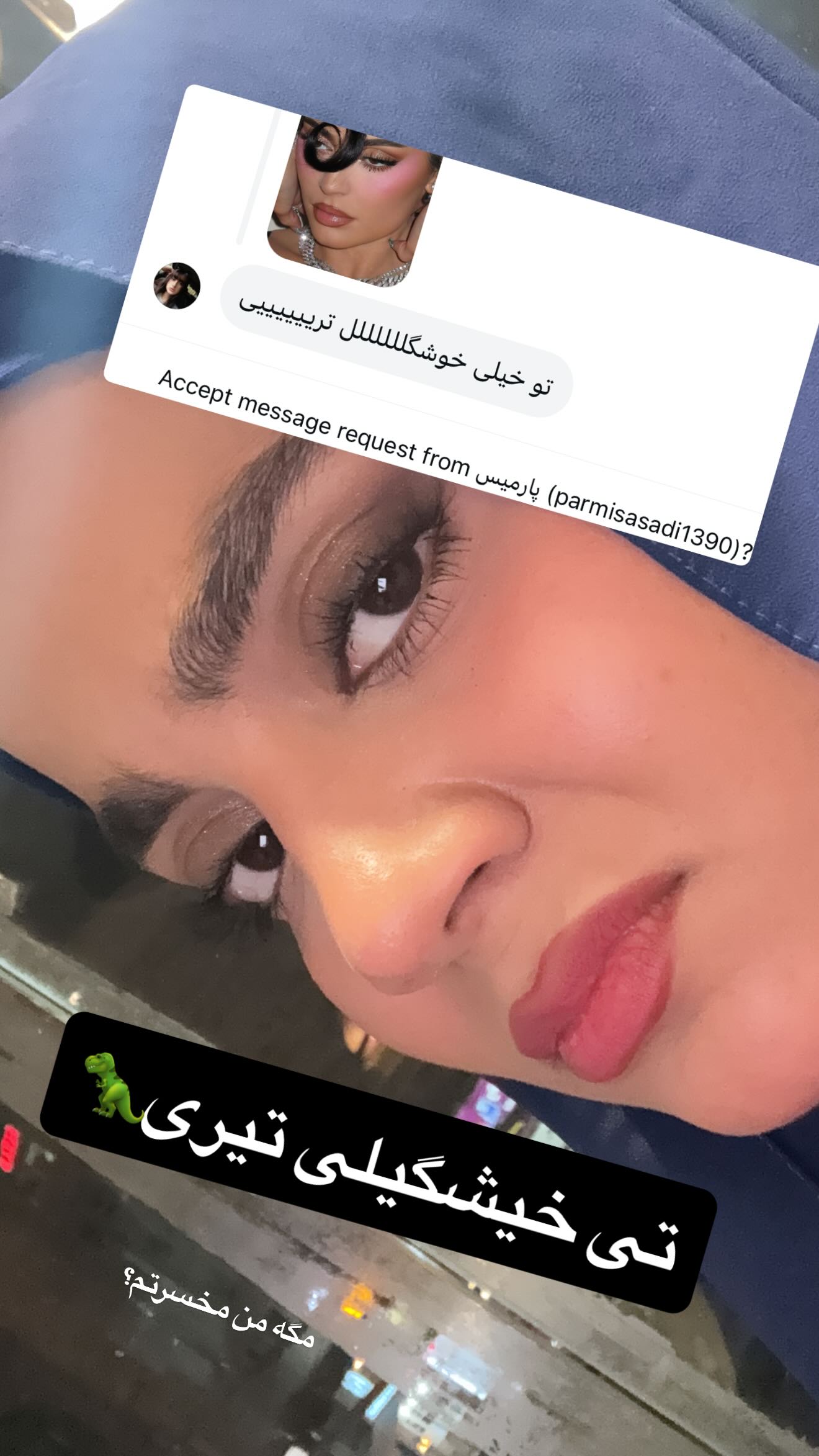  جدید ترین استوری اینستاگرام شقایق محمودی